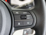 ◆アダプティブクルーズコントロール◆予め設定した車速内でクルマが自動的に加減速。前走車との適切な車間距離を維持しながら追従走行します。【LKAS】車線維持支援システムでステアリング操作を支援。
