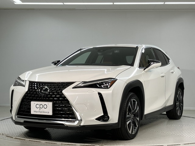 UX 250h バージョンL 