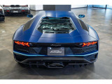 Transparent Engine Bonnet