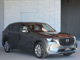 ボディの磨き・車内の消臭・除菌・エンジンルームの清掃、当社自慢のトータルカークリーニングを施工済み