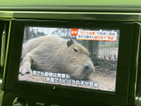 テレビ番組を停車中に視聴でき、休憩時間など車内で過ごすひとときにも役立ちます。画面上には映像と字幕が表示され、ニュースや番組の内容を確認しやすい仕様です。