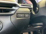 スピードメーターの明るさ調整ボタンとトリップメーター切り替えスイッチ。