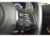 運転中に手をハンドルから離すことなく運転支援機能や走行モードの切り替え関連の操作ができます。