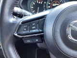 ステアリング左にはオーディオ系システムがまとまっており、運転中の快適性をサポートしてくれます。