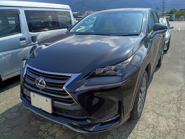 NX 300h Iパッケージ 