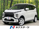 ターボ 純9インチ正SDナビ バックカメラ e-アシスト マイパイロット