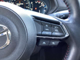 ステアリング右には運転支援系システムがまとまっており、運転中の操作の迷いを少なくしてくれます。