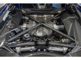 Carbon fiber engine bay, Black springs with Lifing System