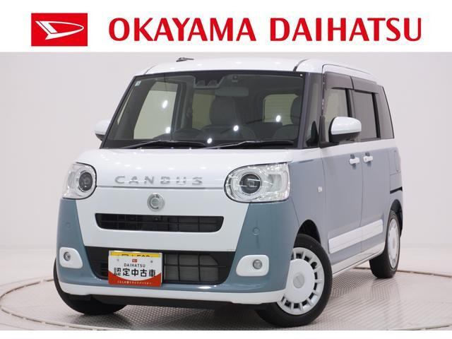 ムーヴキャンバス  ストライプス G