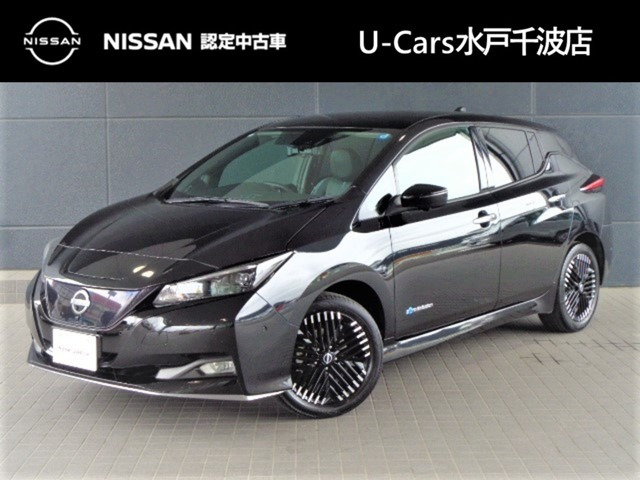 リーフ G