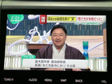 停車中にテレビ番組を視聴でき、休憩時間などに映像を楽しめます。画面内の表示も確認しやすく、車内で過ごす時間の選択肢を広げてくれる装備です。