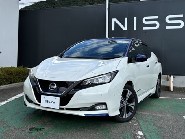 リーフ G 