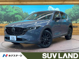 純正10型ナビ 全周囲カメラ スマートブレーキ レーダークルーズ 禁煙車