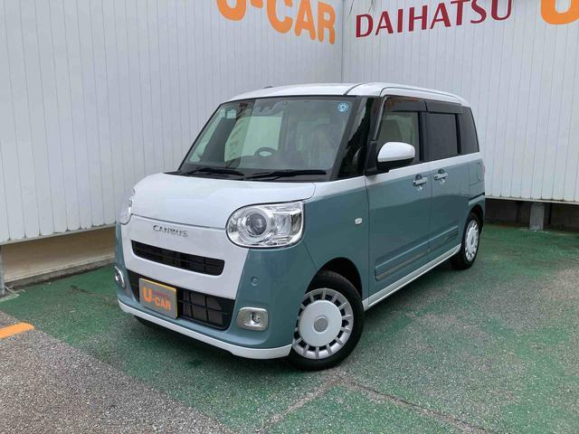 ムーヴキャンバス  ストライプス G