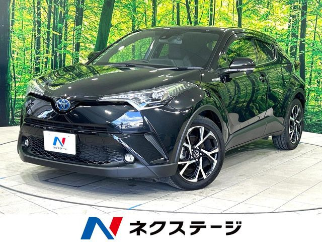 C-HR  G