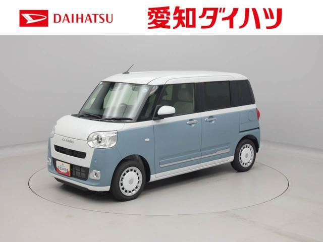 ムーヴキャンバス  ストライプス G