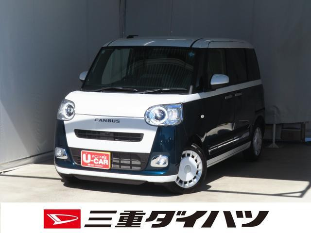 ムーヴキャンバス  ストライプス G