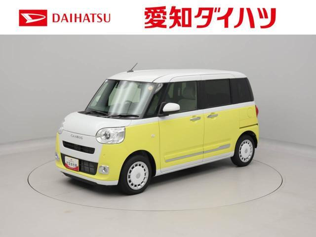 ムーヴキャンバス  ストライプス G