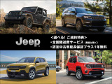 コンパス  ナイトイーグル