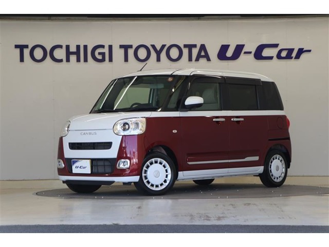 ムーヴキャンバス  ストライプス G