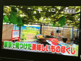 テレビ番組を画面で視聴でき、停車中の待ち時間にも映像を楽しめます。字幕表示も確認できるため、音声を控えたい場面でも番組の内容を把握しやすい装備です。