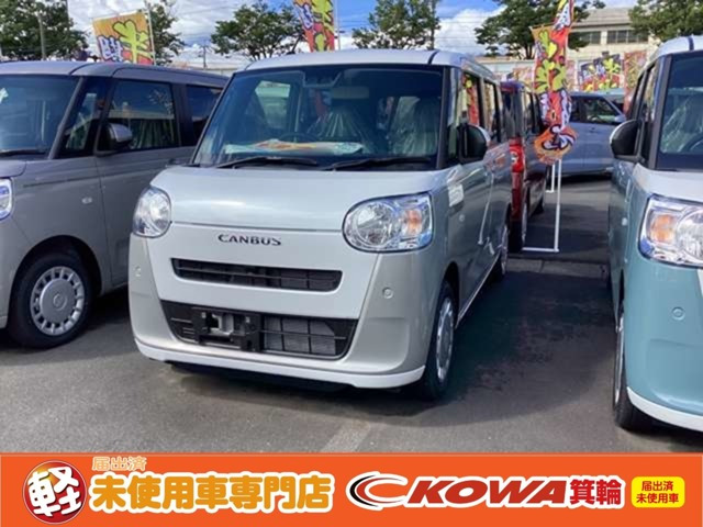 ムーヴキャンバス  ストライプス X