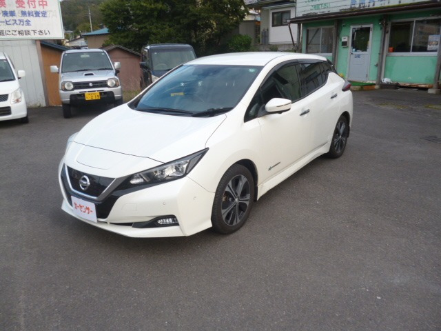 リーフ G