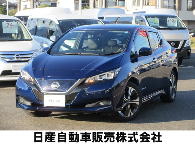 リーフ G 
