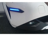 LEDライトやフォグランプを装備