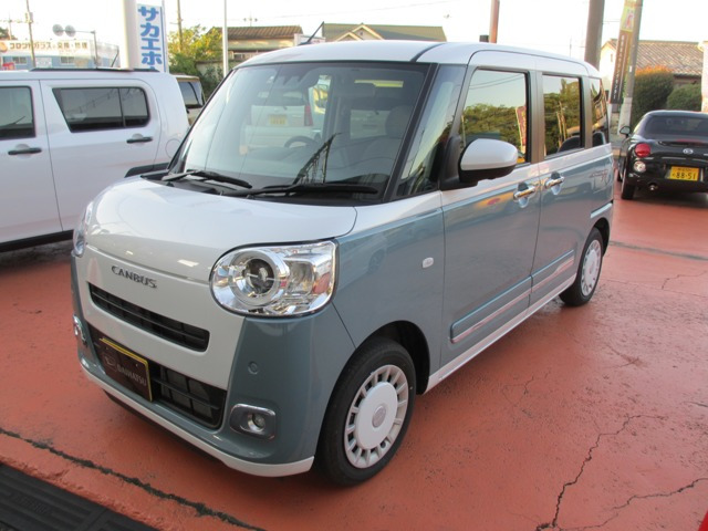 ムーヴキャンバス  ストライプス G