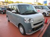 ムーヴキャンバス  ストライプス G