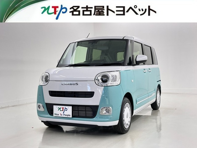 ムーヴキャンバス  ストライプス G