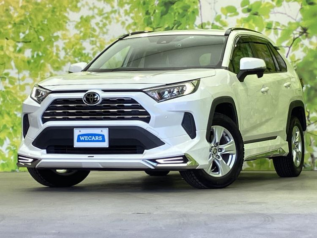 RAV4 2.0 X
