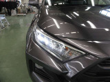 精悍な3灯式LEDランプ+LEDクリアランスランプ+LEDデイライト(オートレベリング機能付)