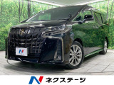 後席モニター 両側電動ドア バックカメラ 100V電源 衝突軽減