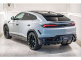 Rear Spoiler in Shiny Black