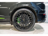 Rims Galanthus 23'' shiny black, Green calipers