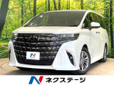 左右独立ムーンルーフ 両側電動ドア 純正14型ディスプレイ 全周囲カメラ