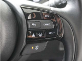◆アダプティブクルーズコントロール◆予め設定した車速内でクルマが自動的に加減速。前走車との適切な車間距離を維持しながら追従走行します。【LKAS】車線維持支援システムでステアリング操作を支援。
