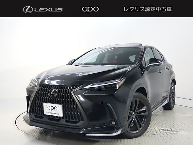 NX 250 バージョンL NX 250 バージョンL