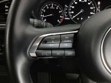 ステアリング周りのスイッチになります。音量調整ができます。