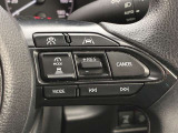 前方の車との車間を設定し、スピードを上げたり緩めたりを自動で行ってくれる追尾式の「レーダークルーズ」。上級装備の一つです!高級車にしかつかない嬉しい機能です。