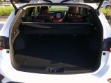 キャンプのような多くの荷物がある時も十分載せられます。