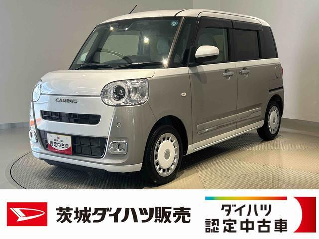 ムーヴキャンバス  ストライプス G