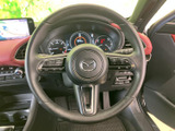 握りやすい形状で、左右のスポークには各種スイッチが配置されています。手元で必要な操作を行いやすく、前方に意識を向けながら運転に集中しやすい装備です。