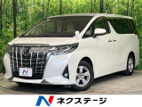 パワースライドドア バックカメラ 衝突軽減 レーダークルーズ BSM