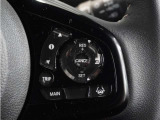 ◆アダプティブクルーズコントロール◆予め設定した車速内でクルマが自動的に加減速。前走車との適切な車間距離を維持しながら追従走行します。【LKAS】車線維持支援システムでステアリング操作を支援。