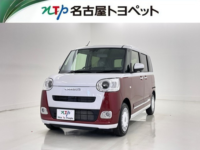 ムーヴキャンバス  ストライプス G