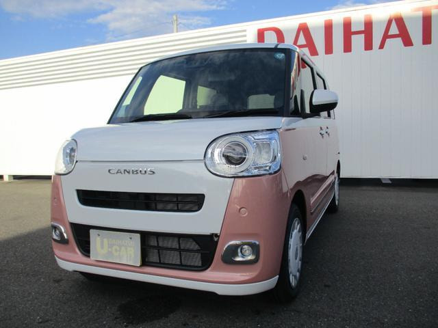ムーヴキャンバス  ストライプス G