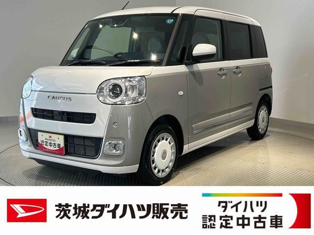 ムーヴキャンバス  ストライプス G